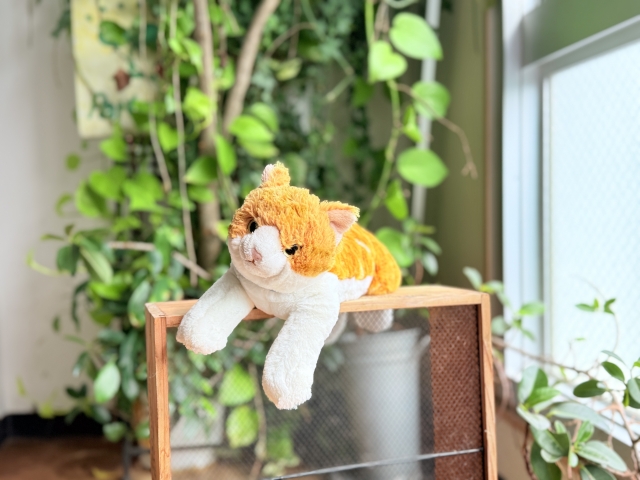 ぬいぐるみの除菌スプレー完全ガイド【安全な選び方と使い方】