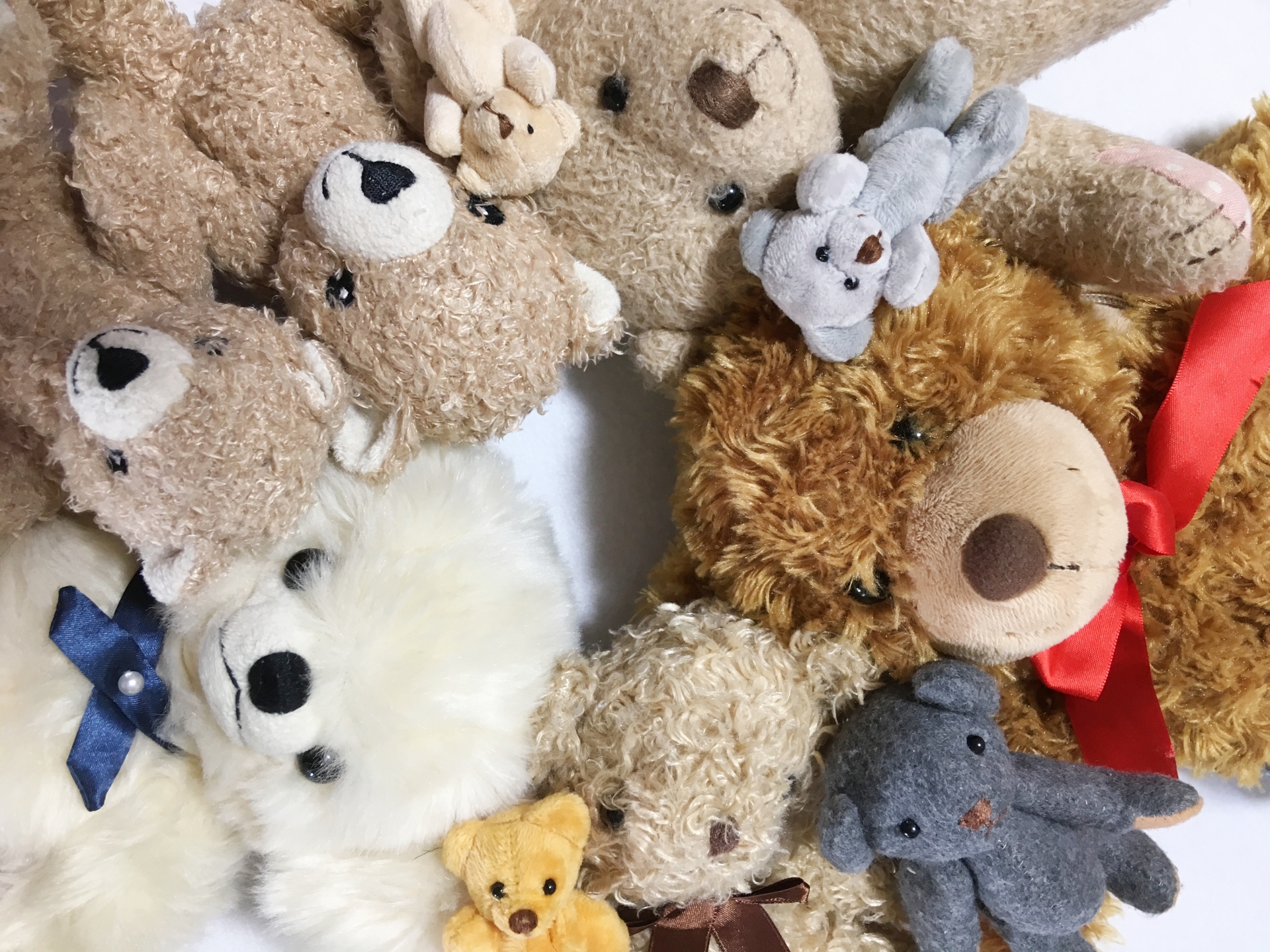 アルカリ電解水でぬいぐるみを洗浄｜手順と注意点